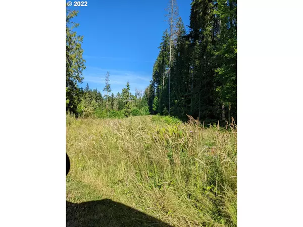 Mellinger RD #1500, Vernonia, OR 97064