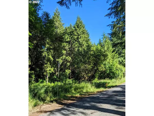 Vernonia, OR 97064,Mellinger RD #1500