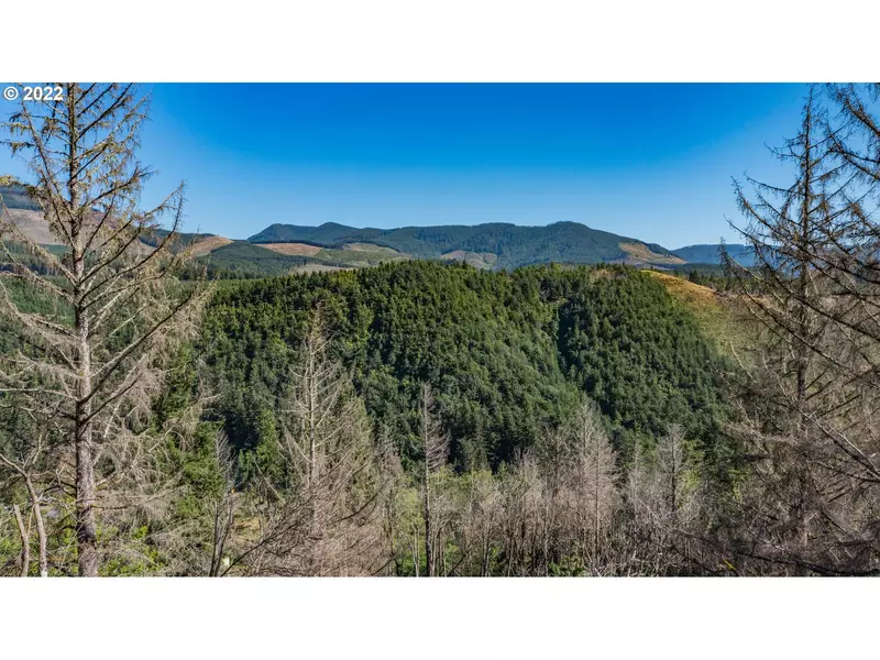 349 N MAPLE DR, Otis, OR 97368