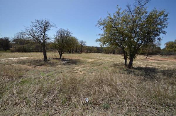 Weatherford, TX 76088,Tbd Sandpiper Drive