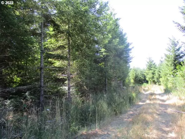 Forest Grove, OR 97116,0 Timber (East)