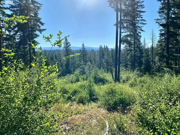 Goldendale, WA 98620,Grayback RD #Lot12