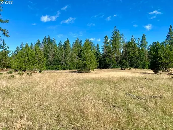 Goldendale, WA 98620,Grayback RD #Lot12