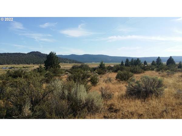 4 Drews RD,  Chiloquin,  OR 97624