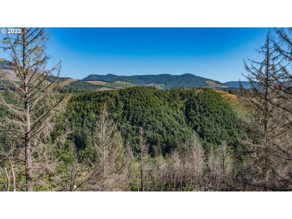 349 N MAPLE DR,  Otis,  OR 97368