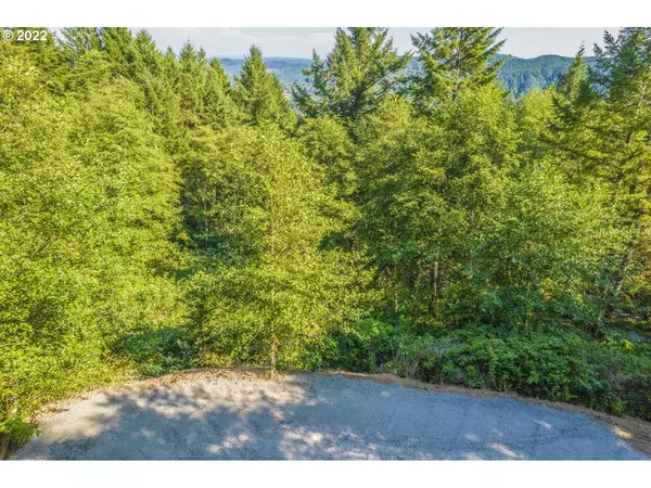 Brookings, OR 97415,000 Mountain DR