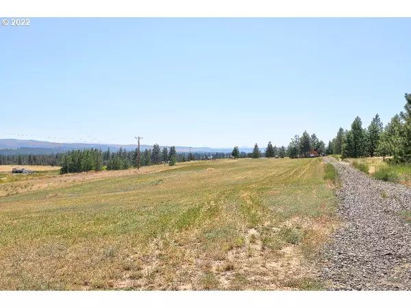 Goldendale, WA 98620,17 HARRIS RD