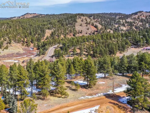 221 Mesa DR, Florissant, CO 80816