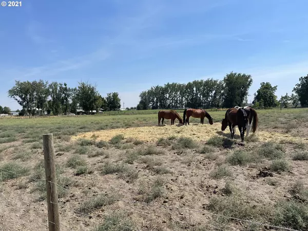 Blue Bucket LN, Hermiston, OR 97838