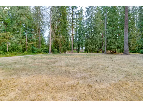 Molalla, OR 97038,36136 S Megan AVE #1