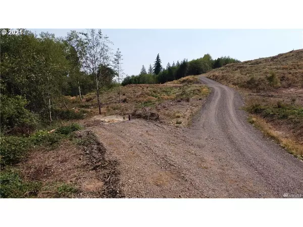 Kelso, WA 98626,0 S Goble Creek RD #Lot E