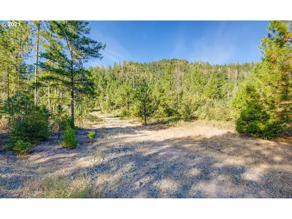 Applegate, OR 97530,0 THOMPSON CR RD