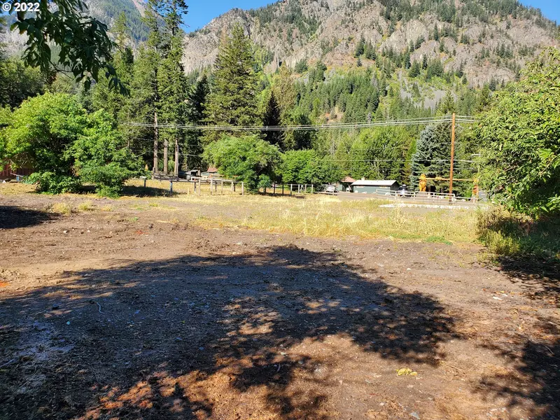 0 Meadow RD #200, Wallowa Lake, OR 97846