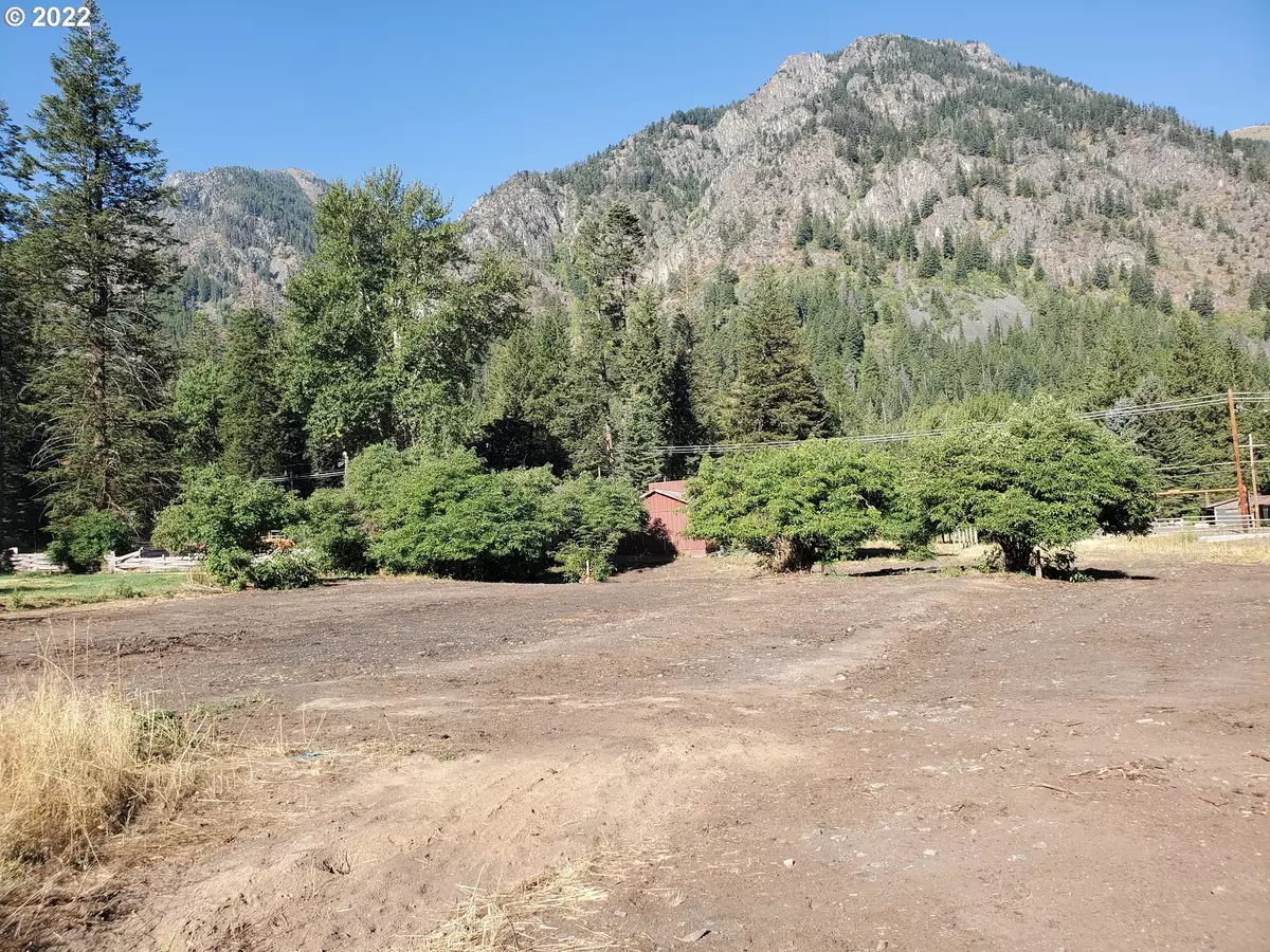 Wallowa Lake, OR 97846,0 Meadow RD #205