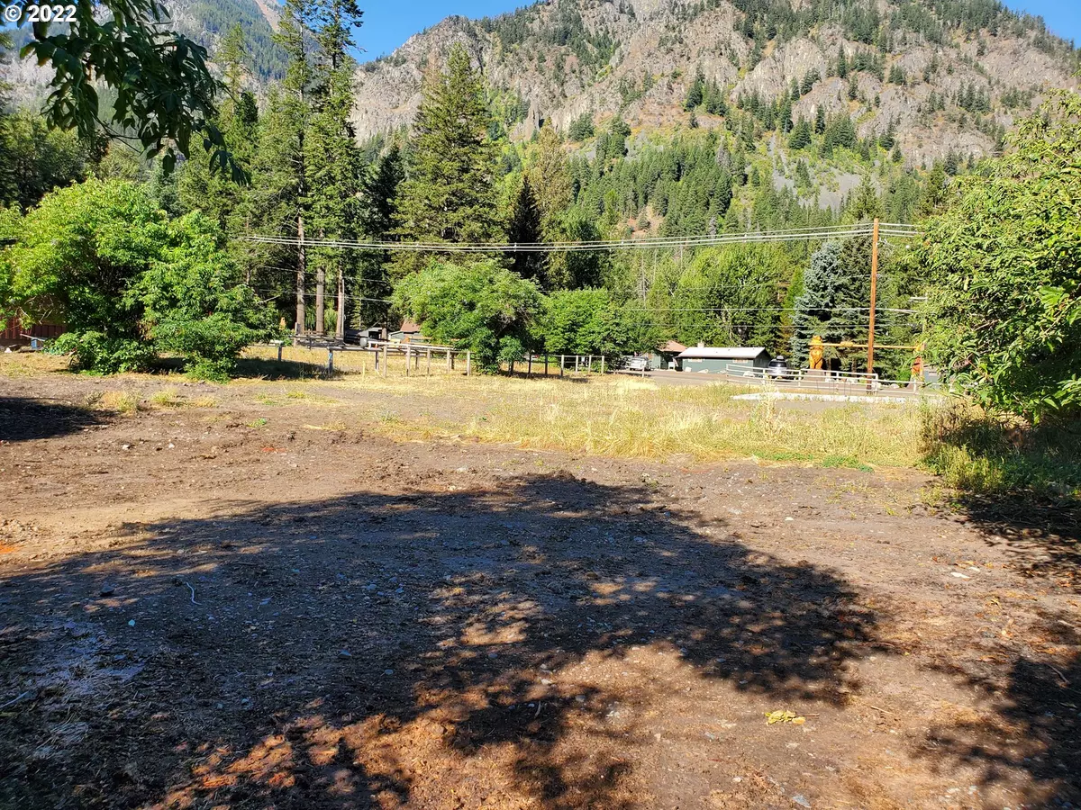 Wallowa Lake, OR 97846,0 Meadow RD #200