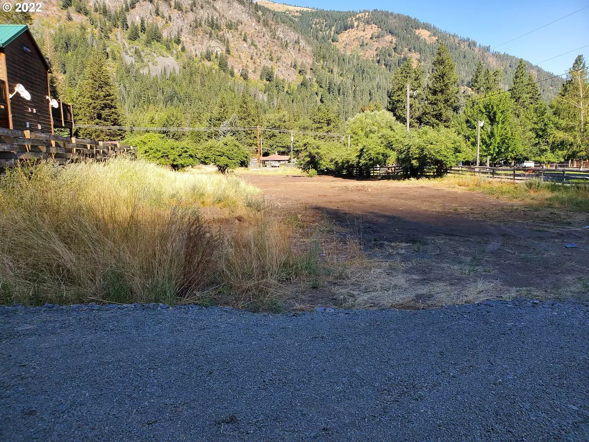 Wallowa Lake, OR 97846,0 Holly LN #206