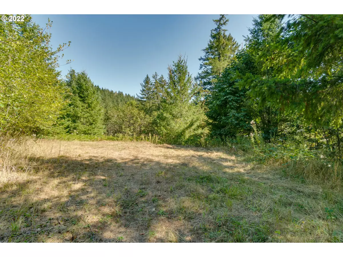 Mc Minnville, OR 97128,3650 NW BLACKTAIL DR