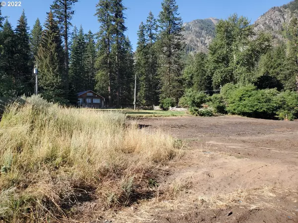 Wallowa Lake, OR 97846,0 Meadow RD #205