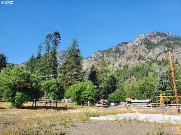 Wallowa Lake, OR 97846,0 Meadow RD #205