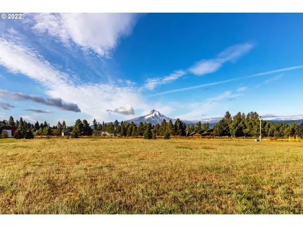 Mt Hood Prkdl, OR 97041,4140 HARMONY DR