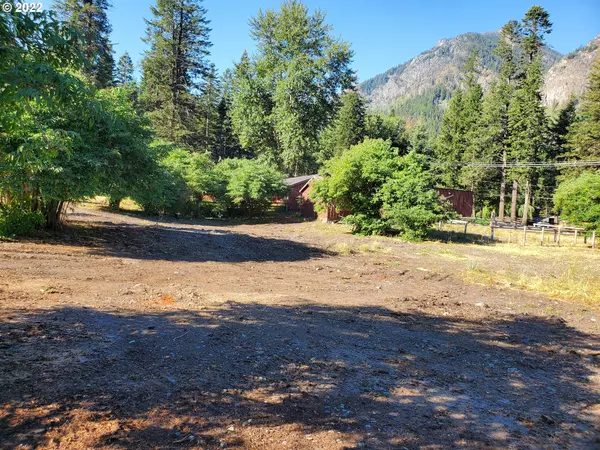 Wallowa Lake, OR 97846,0 Meadow RD #200