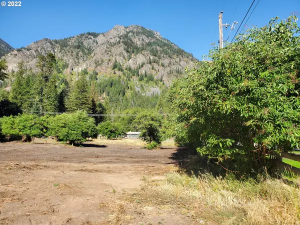 Wallowa Lake, OR 97846,0 Meadow RD #200