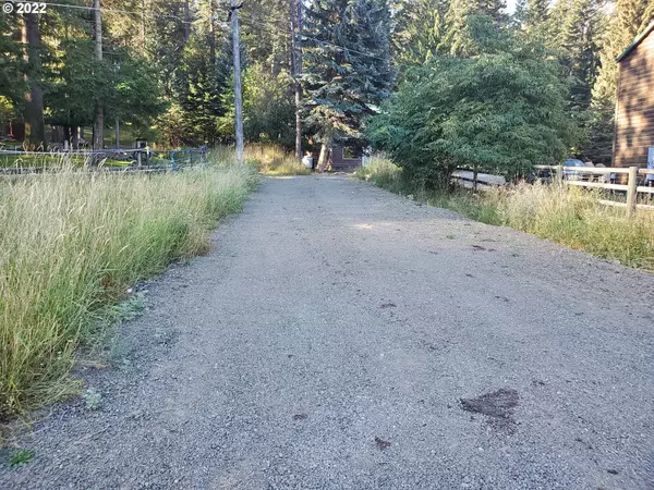 Wallowa Lake, OR 97846,0 Holly LN #206