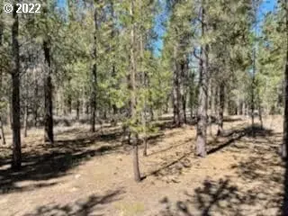 50853 FAWN LOOP, La Pine, OR 97739