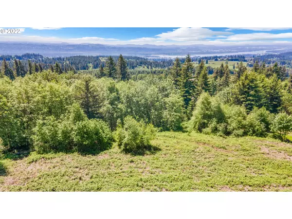 00 SE 13 ST, Washougal, WA 98671