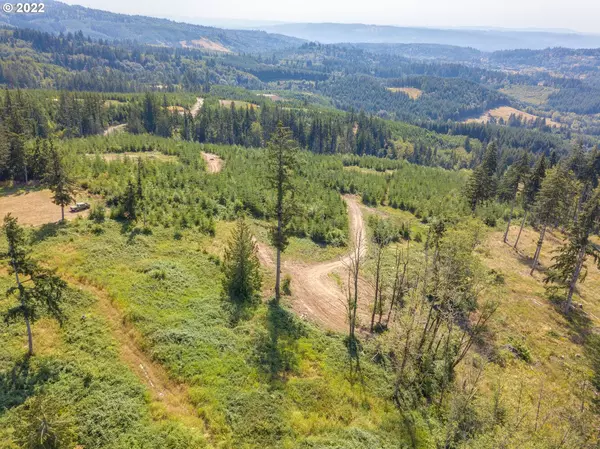 Kelso, WA 98626,586 Bootjack LN