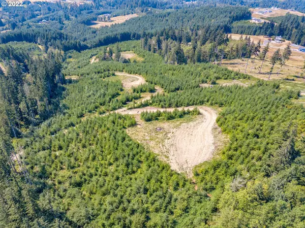 550 Bootjack LN, Kelso, WA 98626