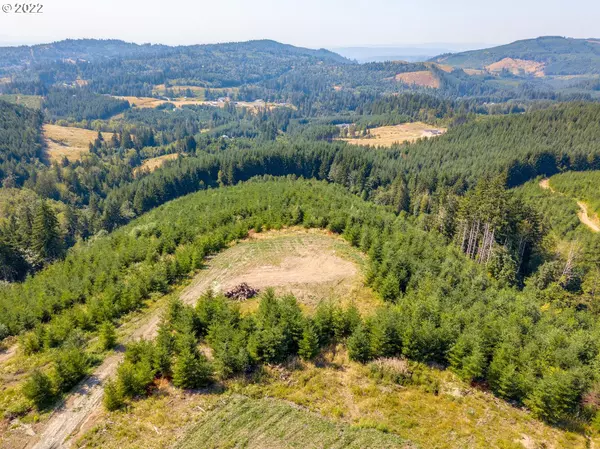 415 Bootjack LN, Kelso, WA 98626