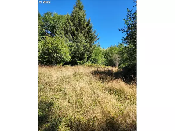 Naselle, WA 98638,Bighill RD