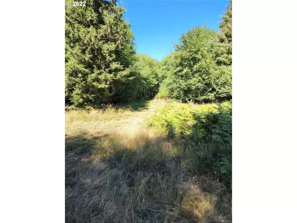 Naselle, WA 98638,Bighill RD