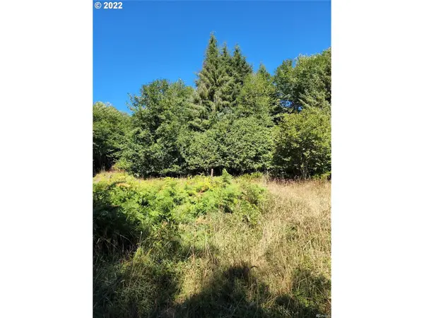 Naselle, WA 98638,Bighill RD