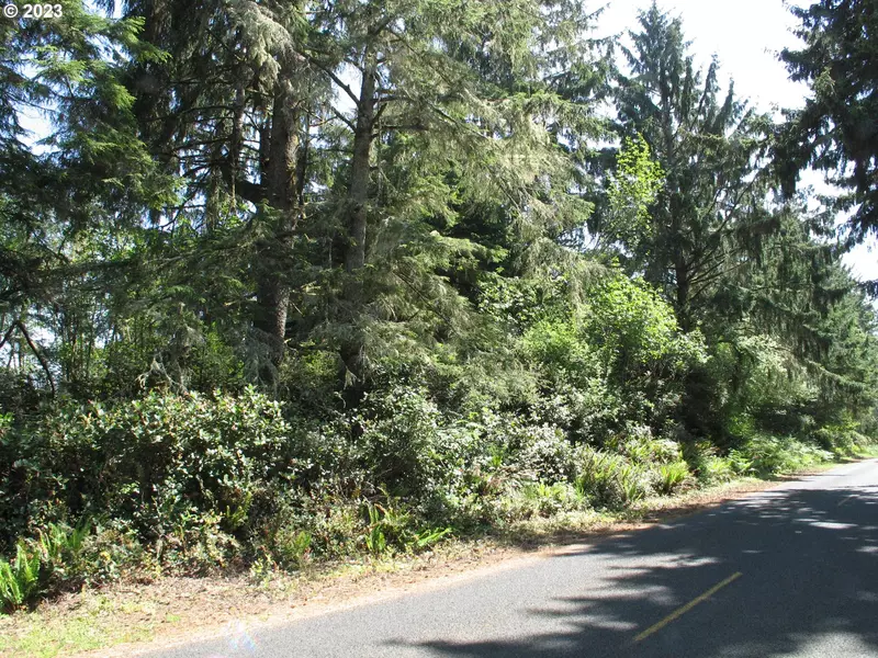 STACKPOLE RD, Oysterville, WA 98641