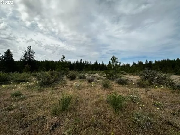 Goldendale, WA 98620,0 Miriam PL