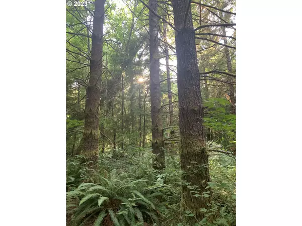 Naselle, WA 98638,285 Parpala RD