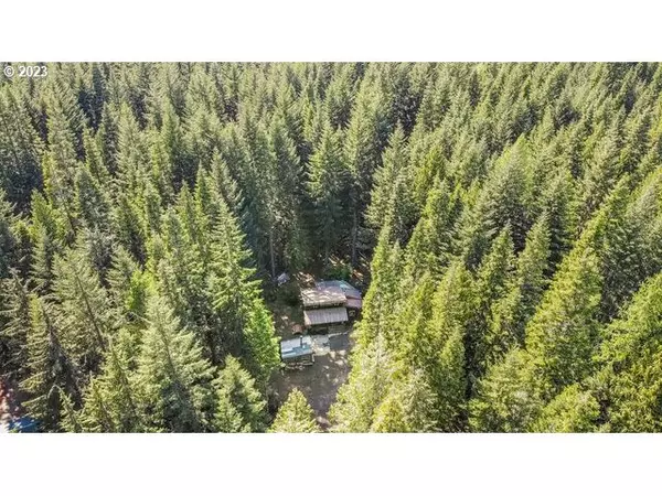 Trout Lake, WA 98650,7 Hideaway Trailer Cam