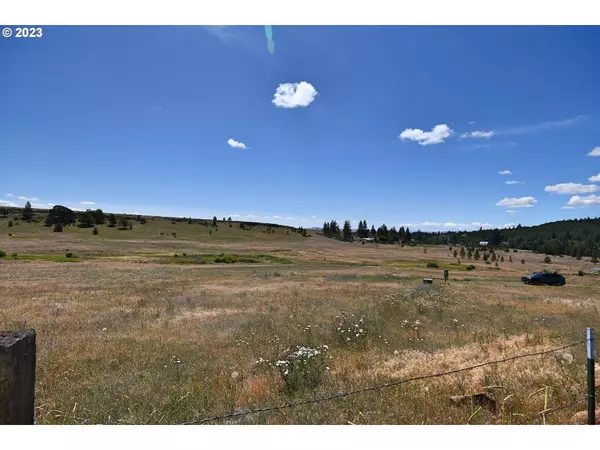 Goldendale, WA 98620,46 Rimrock