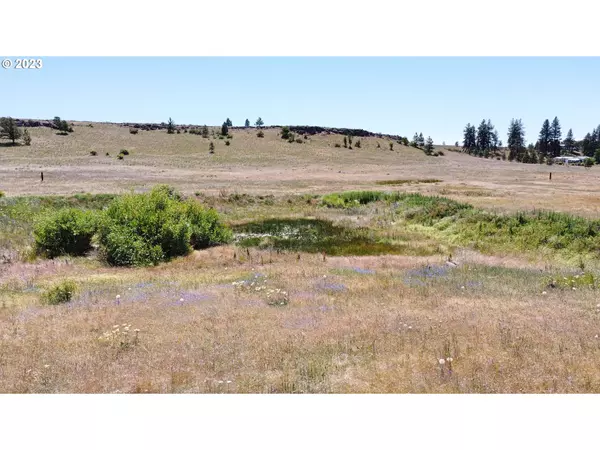 Goldendale, WA 98620,46 Rimrock