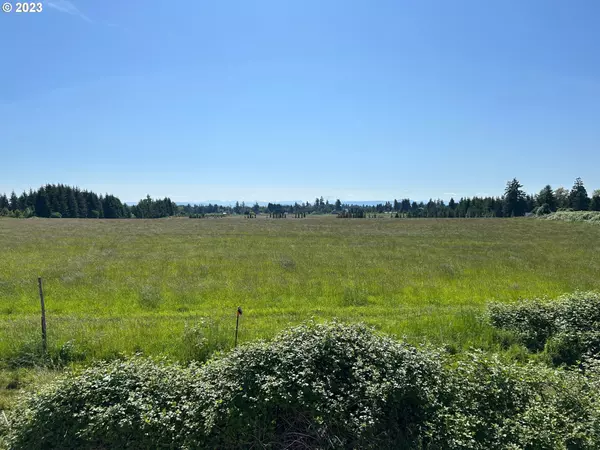 Winlock, WA 98596,1024 Peach RD