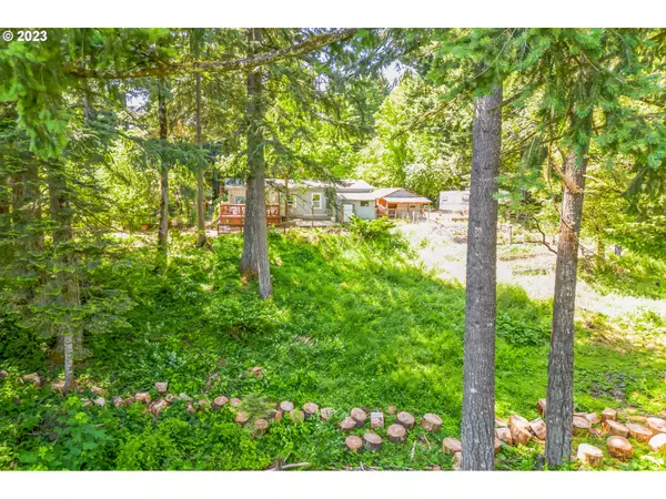 Skamania, WA 98648,22 LESLIE LN