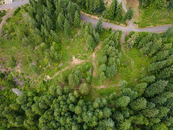 422 Boulder Ridge DR #Lot 9,  Carson,  WA 98610