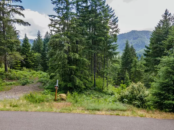 Carson, WA 98610,422 Boulder Ridge DR #Lot 9