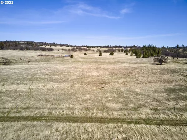 Goldendale, WA 98620,35 BLUFF LN