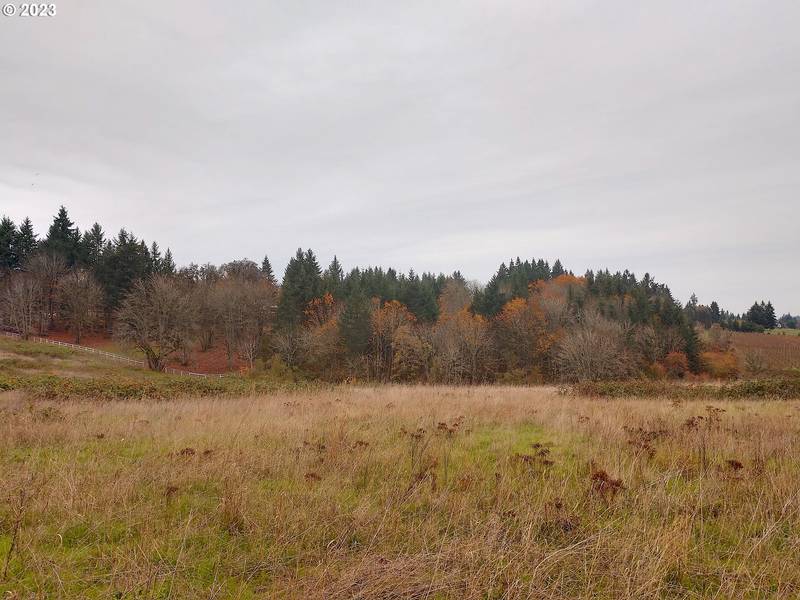 0 SE Walnut Hill RD, Amity, OR 97101