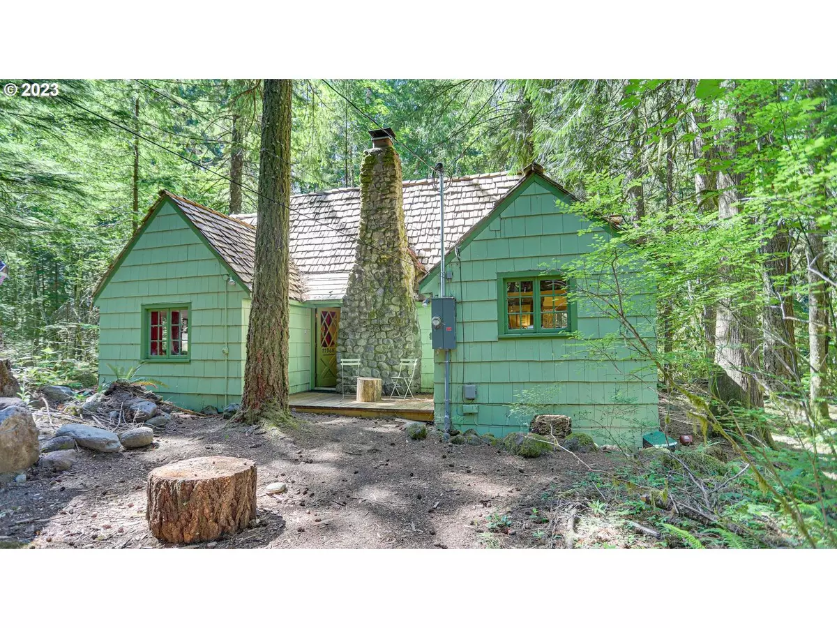 Government Camp, OR 97028,77968 E ROAD 35B #lot 7