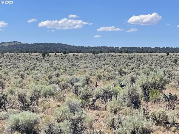 Browns Valley RD #503, Christmas Valley, OR 97641