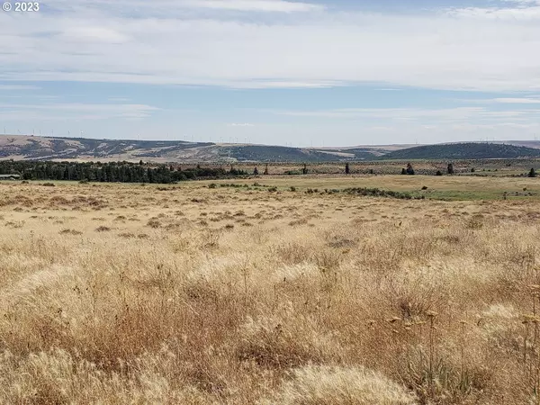 Goldendale, WA 98620,Old Mountain RD